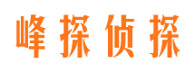 雅安市婚姻调查